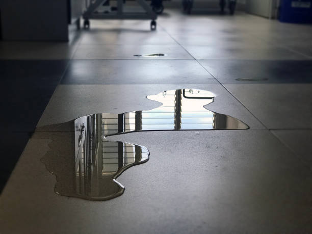 Best Water damage restoration process  in Bristol, CT