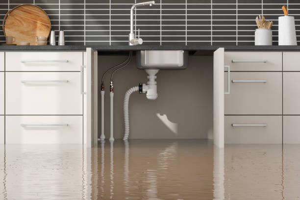 Best Ceiling water damage repair  in Bristol, CT