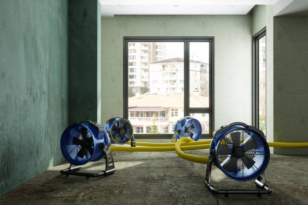 Best Water damage restoration near me  in Bristol, CT